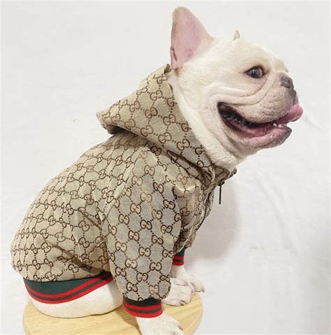 fake designer dog clothes|designer dog clothes for large dogs.